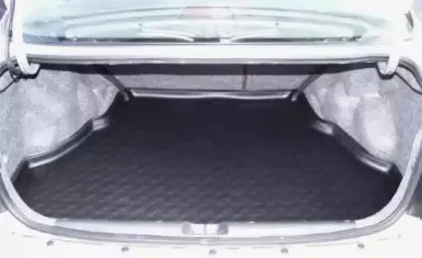 Лоток багажного/грузового отсека CARBOX купить